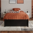 Barcelona Twin XL Solid Wood Panel Platform Bed with Twin XL Trundle in Black
