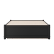 Barcelona Twin XL Solid Wood Panel Platform Bed with Twin XL Trundle in Black
