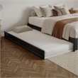 Barcelona Queen Solid Wood Panel Platform Bed with Twin XL Trundle in Black