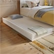 Aveline Twin Platform Bed with Matching Footboard & Twin Trundle in White