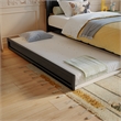 Aveline Twin Platform Bed with Matching Footboard & Twin Trundle in Black