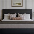 Aveline King Platform Bed with Matching Footboard & Twin XL Trundle in Black