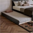 Aveline King Platform Bed with Matching Footboard & Twin XL Trundle in Black