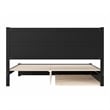 Aveline King Platform Bed with Matching Footboard & Twin XL Trundle in Black