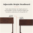 Norla Twin XL Wood Platform Bed with Footboard and Drawers in Walnut