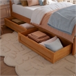 Norla Twin Wood Platform Bed with Footboard and Drawers in Light Toffee