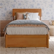 Norla Twin Wood Platform Bed with Footboard and Drawers in Light Toffee
