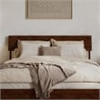 Norla Queen Wood Platform Bed with Footboard and Drawers in Walnut