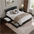 Norla Queen Wood Platform Bed with Footboard and Drawers in Black