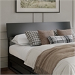 Norla Queen Wood Platform Bed with Footboard and Drawers in Black