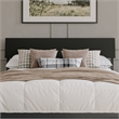 Norla Queen Wood Platform Bed with Footboard and Drawers in Black