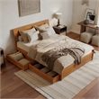 Norla Queen Wood Platform Bed with Footboard and Drawers in Light Toffee