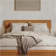 Norla Queen Wood Platform Bed with Footboard and Drawers in Light Toffee