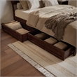 Norla King Wood Platform Bed with Footboard and Drawers in Walnut
