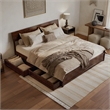 Norla King Wood Platform Bed with Footboard and Drawers in Walnut