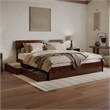 Norla King Wood Platform Bed with Footboard and Drawers in Walnut