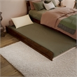 Norla Full Wood Platform Bed with Footboard and Twin Trundle in Walnut