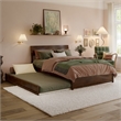 Norla Full Wood Platform Bed with Footboard and Twin Trundle in Walnut