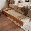Norla Queen Wood Platform Bed with Footboard and Twin XL Trundle in Light Toffee
