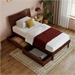 Phoenix Twin XL Solid Wood Platform Bed with Drawers in Walnut