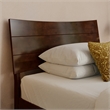 Phoenix Twin XL Solid Wood Platform Bed with Drawers in Walnut