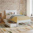 Phoenix Twin Size Solid Wood Platform Bed with Drawers in White