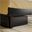 Phoenix Twin Size Solid Wood Platform Bed with Drawers in Black