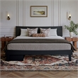 Phoenix King Size Solid Wood Platform Bed with Drawers in Black