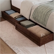 Denver Twin XL Wood Platform Bed with Storage Drawers in Walnut