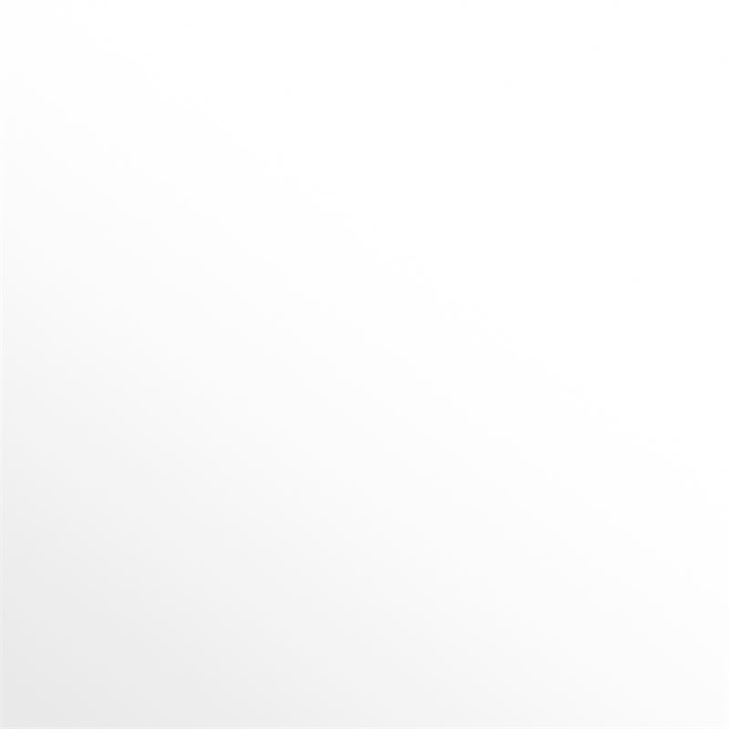 AFI Twin Solid Wood Transitional Raised Panel Trundle in White