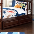 AFI Twin / Full Transitional Raised Panel Solid Wood Trundle in Walnut