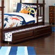 AFI Twin / Full Transitional Raised Panel Solid Wood Trundle in Walnut