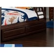 AFI Twin / Full Transitional Raised Panel Solid Wood Trundle in Walnut