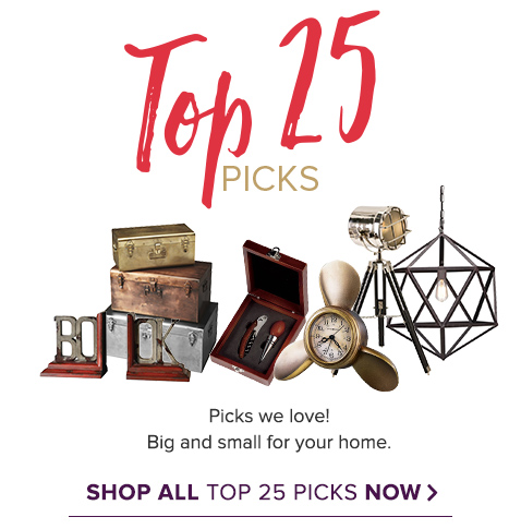 Top 25 Gift Picks