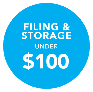 filing and storage under $100