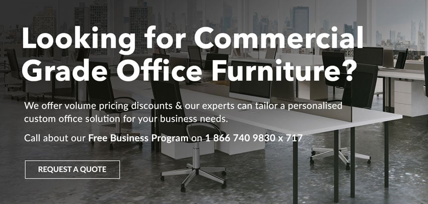Business Program