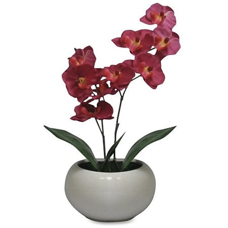 flower pots and planters