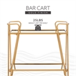 Linon Mia Metal and Mirrored Mid-Century 2 Level Rolling Bar Cart in Gold