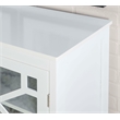 Linon Betty Small Wood Cabinet with a Glass Paneled Door and 3 Shelves in White