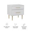 Linon Dylan Wood Nightstand with Two Drawers and Gold Accents in White
