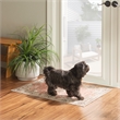 Linon Washable Blanche Polyester 2'x3' Rug in Pink