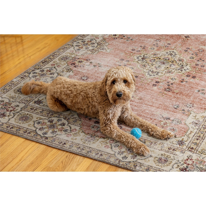 Linon Washable Blanche Polyester 5'x7' Rug in Pink