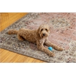 Linon Washable Blanche Polyester 5'x7' Rug in Pink