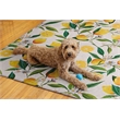 Linon Washable Saylor Polyester 5'x7' Rug in Ivory