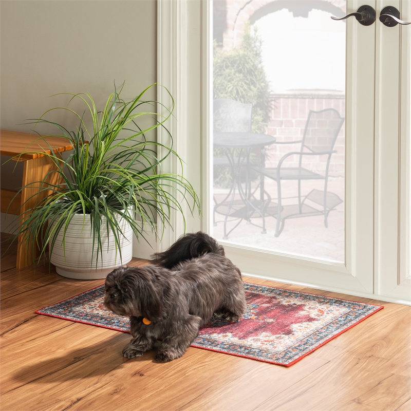 Linon Washable Adams Polyester 2'x3' Rug in Ivory