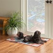Linon Washable Langley Polyester 2'x3' Rug in Teal Blue