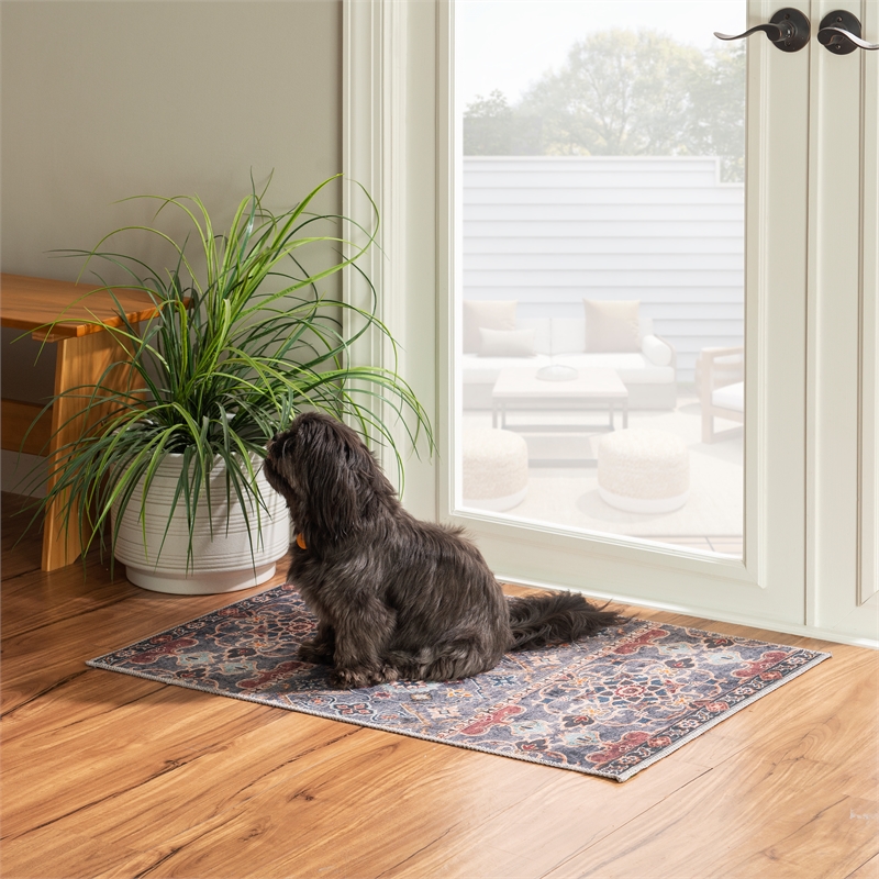 Linon Washable Buford Polyester 2'x3' Rug in Teal Blue