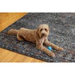 Linon Washable Buford Polyester 5'x7' Rug in Teal Blue
