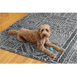 Linon Washable Kylen Polyester 5'x7' Rug in Ivory