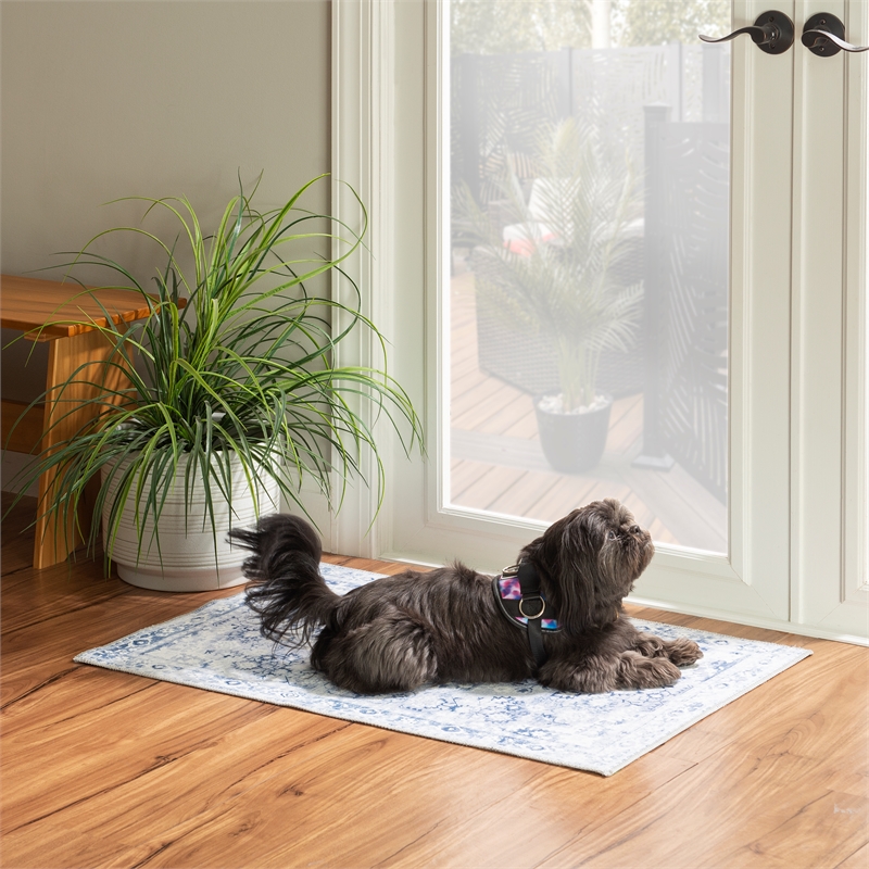 Linon Washable Zayd Polyester 2'x3' Rug in Gray